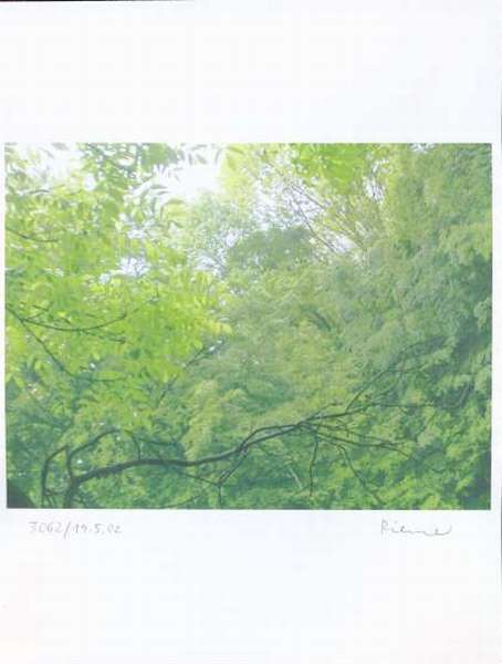 Das ist Druck 3062 - mit KLICK zum n&auml;chsten Druck / This is print 3062 - CLICK to open next print